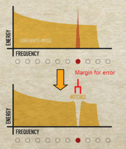 The margin for error in tuning is two ERBs.