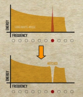 Notched audio